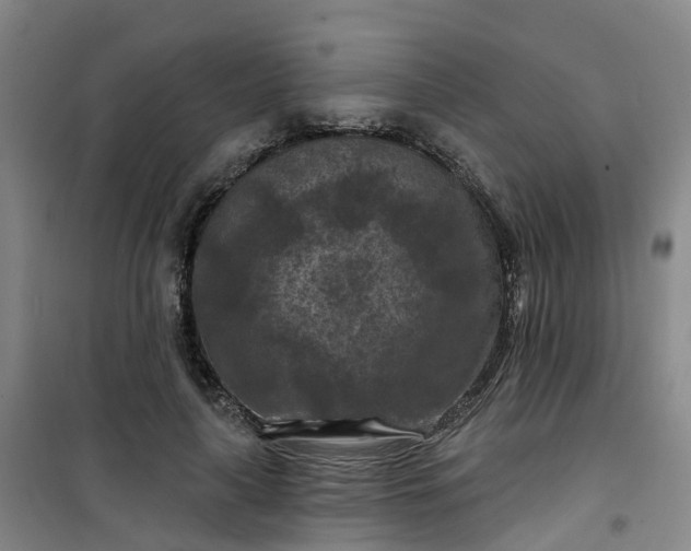 X0000101090643200807101549