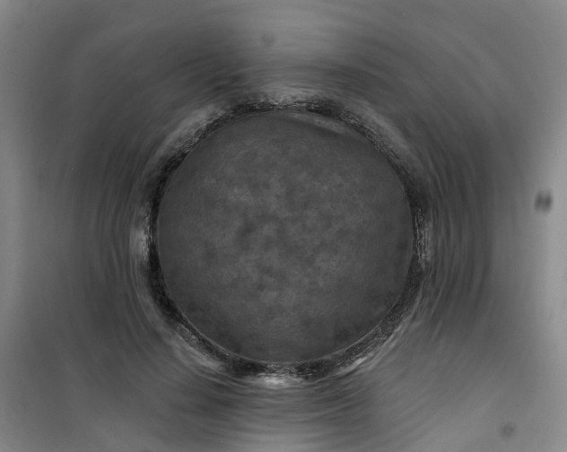 X0000101090644200807101549