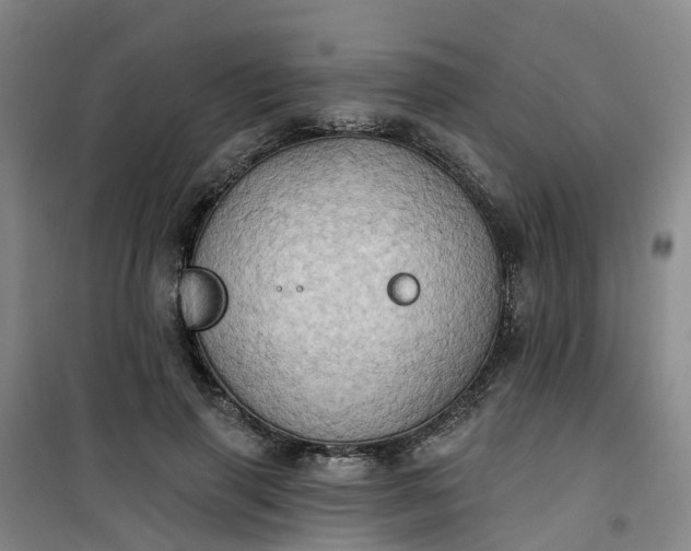 X0000101090645200807101549