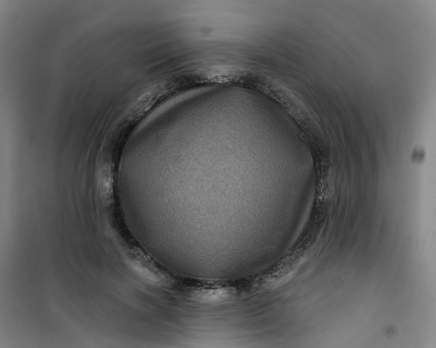 X0000101090646200807101549