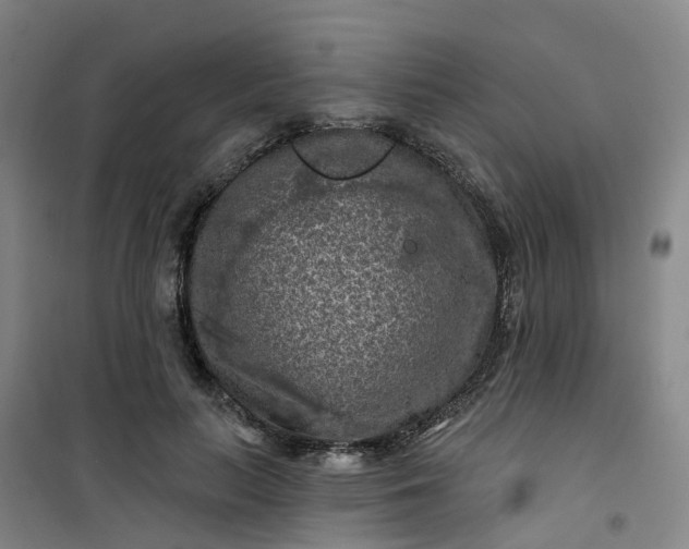 X0000101090647200807101549