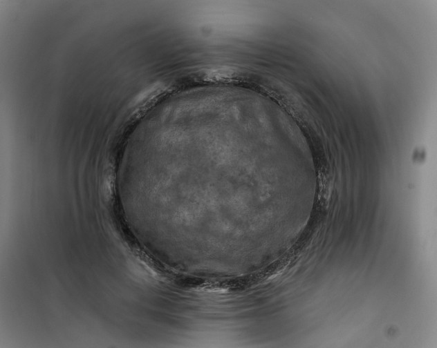 X0000101090648200807101549