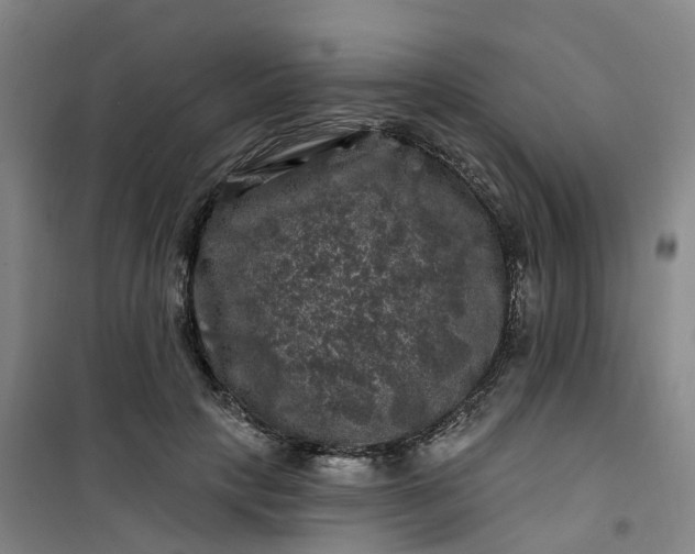 X0000101090649200807101549