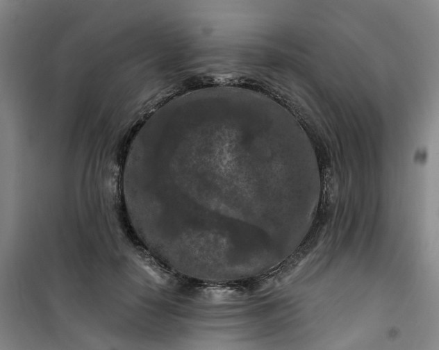 X0000101090650200807101549