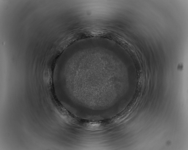 X0000101090651200807101549