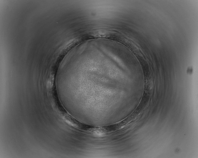 X0000101090652200807101549