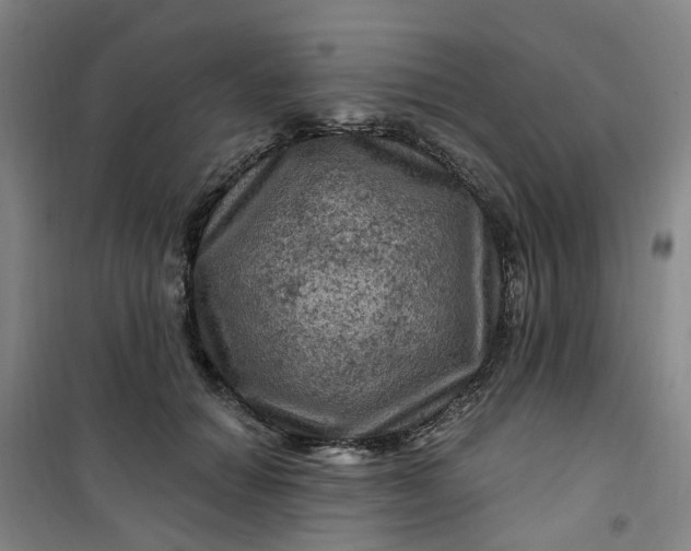 X0000101090654200807101550