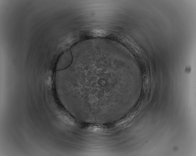 X0000101090655200807101550