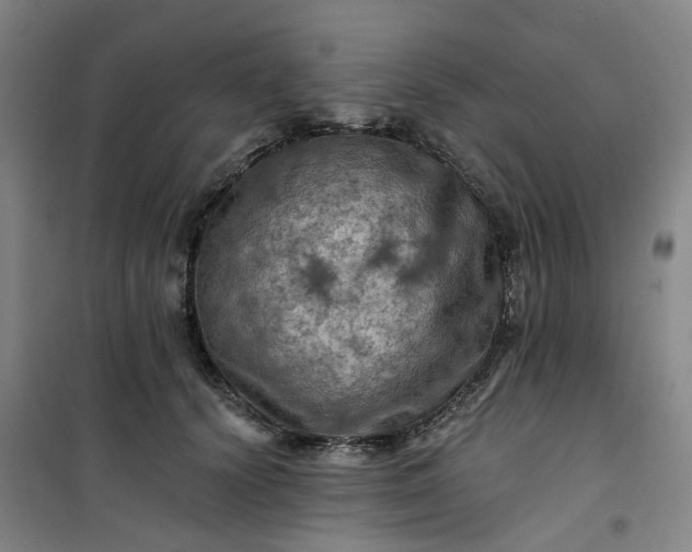 X0000101090656200807101550