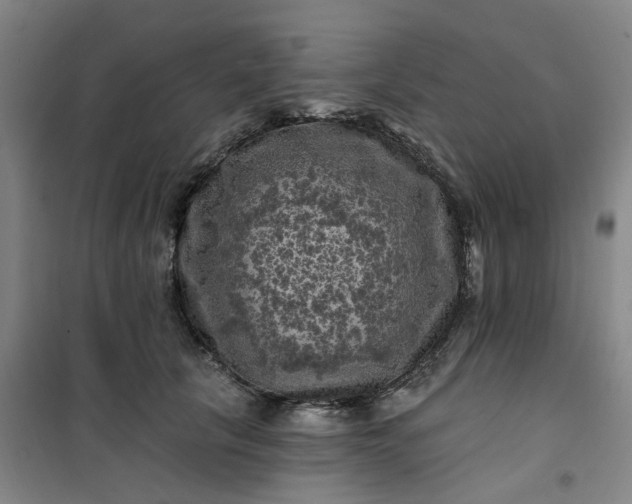 X0000101090657200807101550