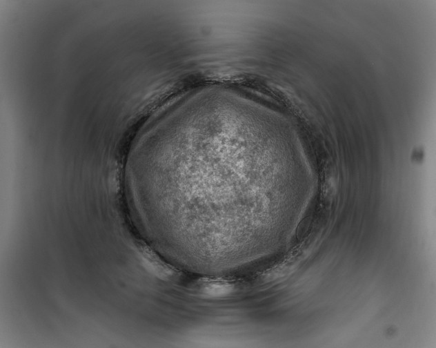 X0000101090658200807101550