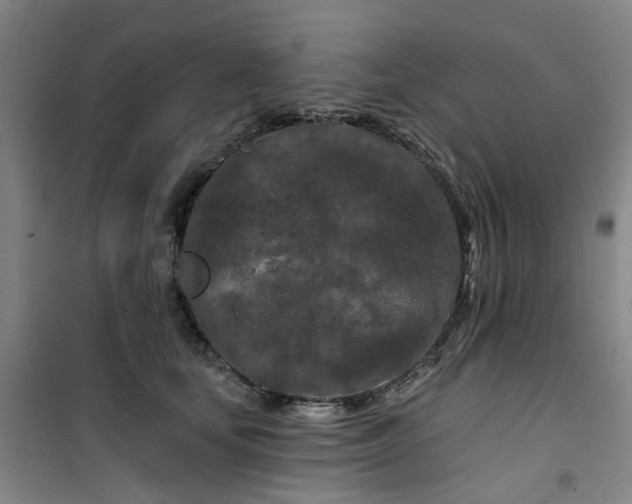 X0000101090659200807101550