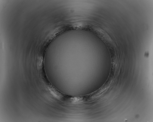 X0000101090660200807101550