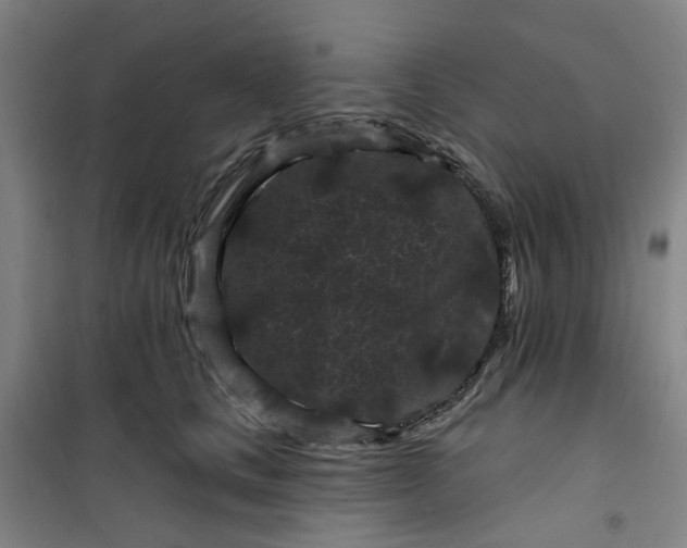 X0000101090661200807101550