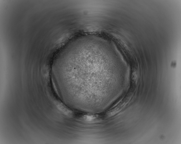 X0000101090662200807101550