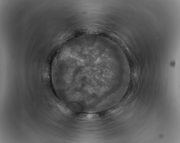 X0000101090663200807101550