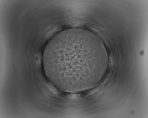 X0000101090664200807101550