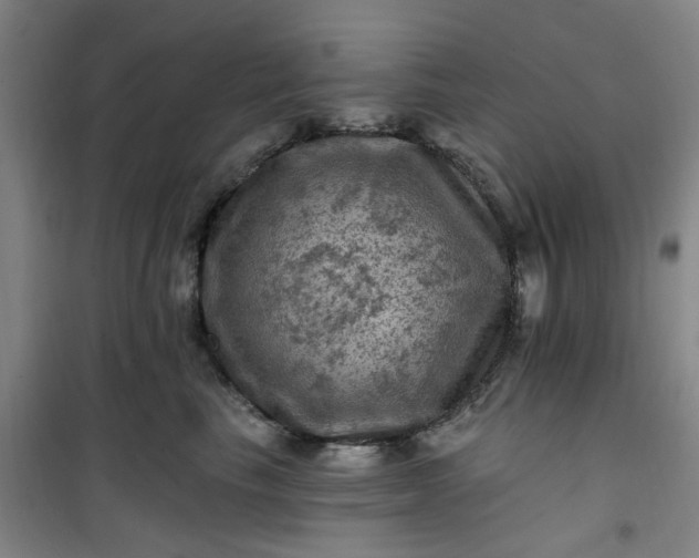 X0000101090665200807101550