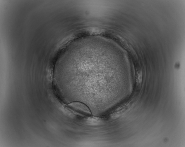 X0000101090666200807101550