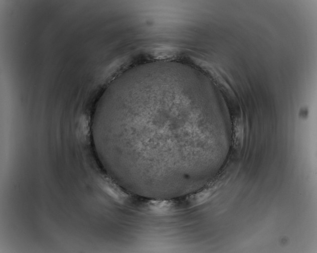 X0000101090667200807101550