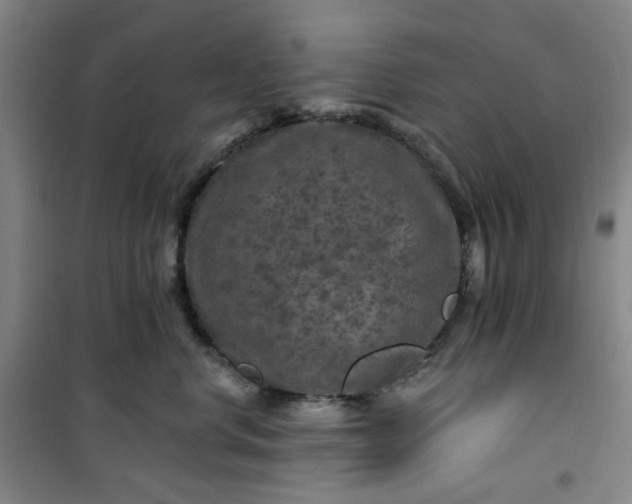 X0000101090668200807101550