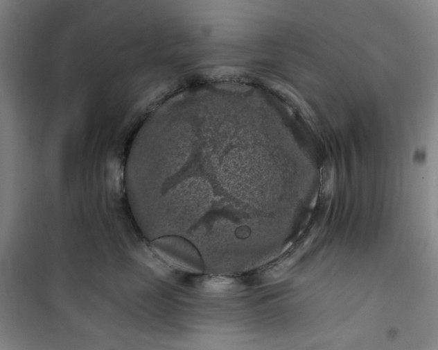 X0000101090669200807101550