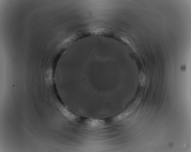 X0000101090670200807101550