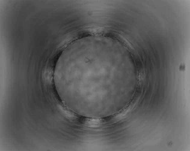 X0000101090671200807101550