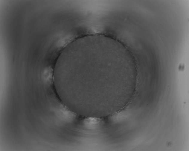 X0000101090672200807101550