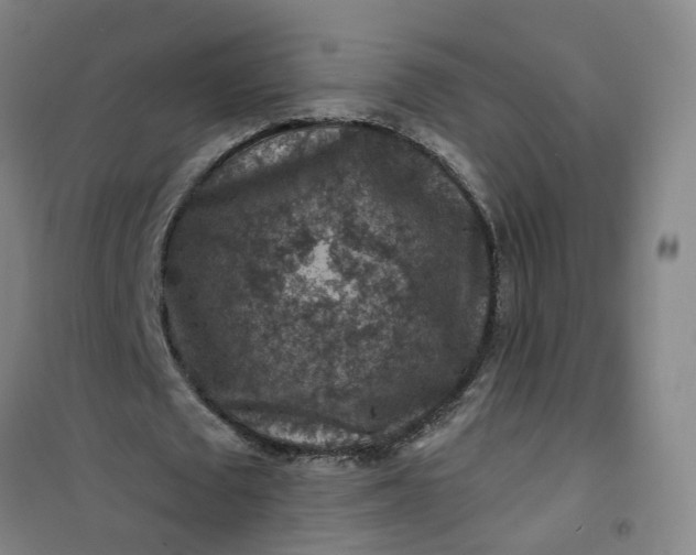 X0000101090673200807101549