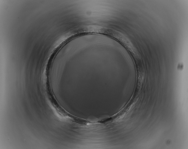 X0000101090674200807101549