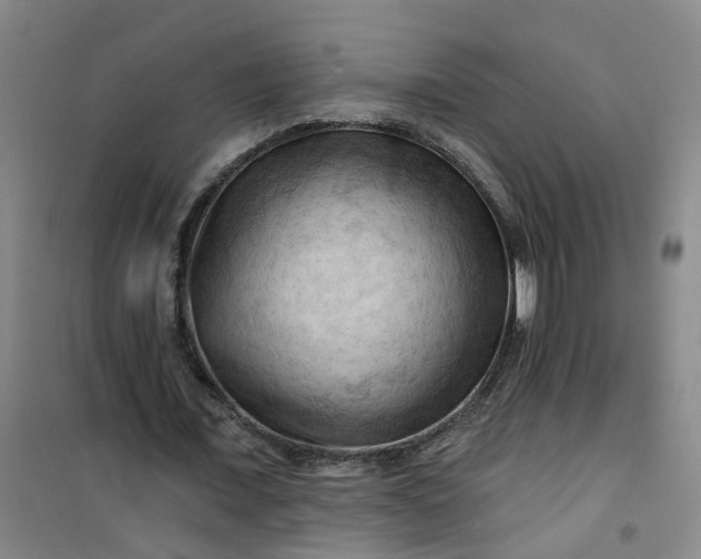 X0000101090675200807101549