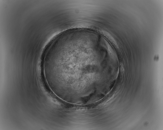 X0000101090676200807101549