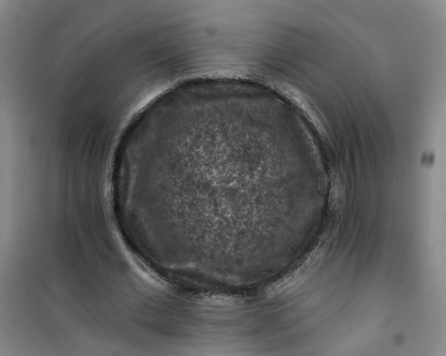 X0000101090677200807101549