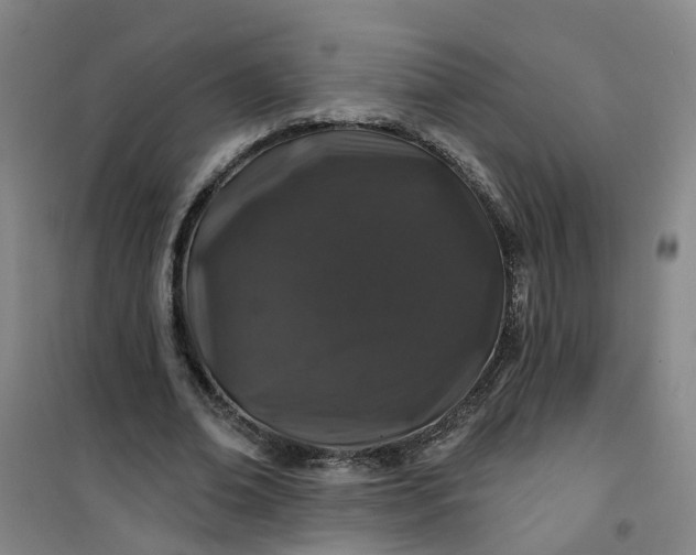 X0000101090678200807101549