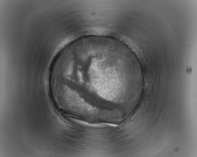 X0000101090679200807101549