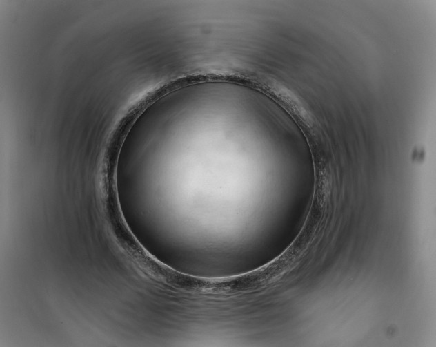 X0000101090680200807101549