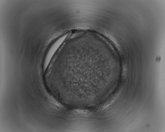 X0000101090681200807101549