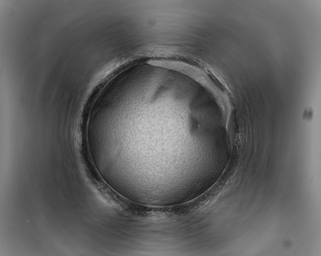 X0000101090682200807101549