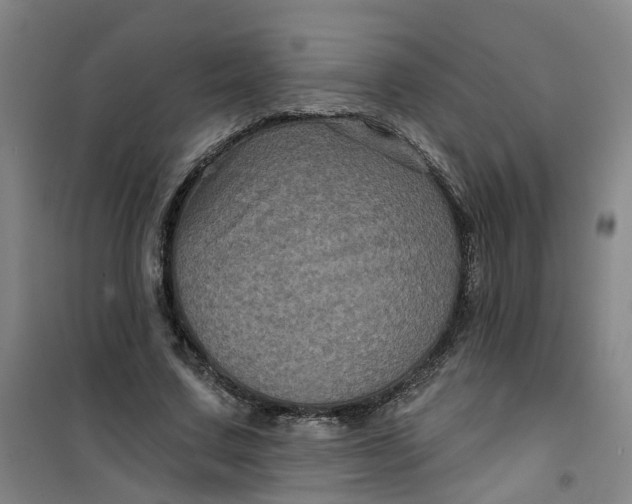 X0000101090683200807101549