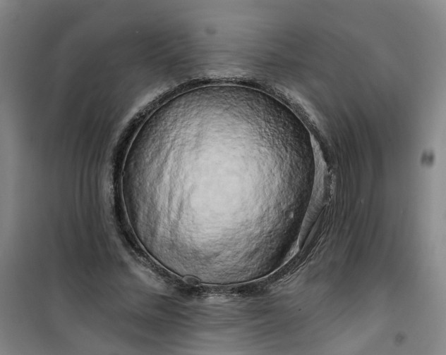 X0000101090684200807101549