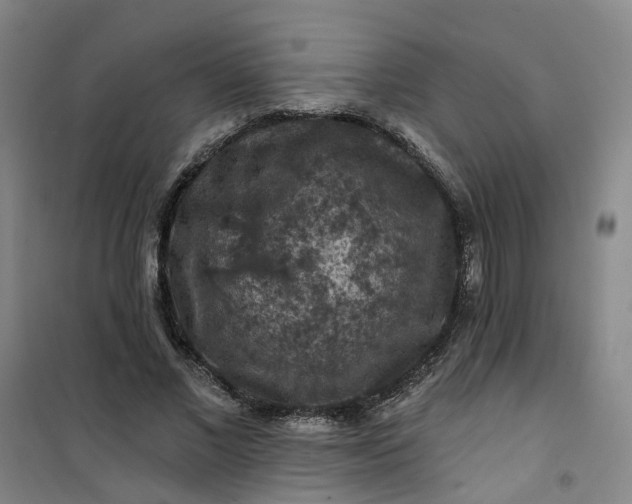 X0000101090685200807101549