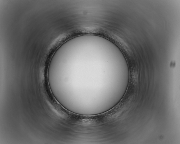 X0000101090686200807101549