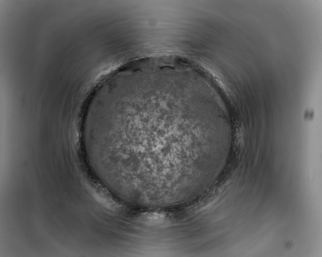 X0000101090687200807101549