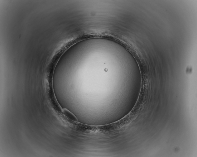 X0000101090688200807101549