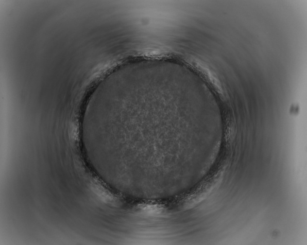 X0000101090689200807101549