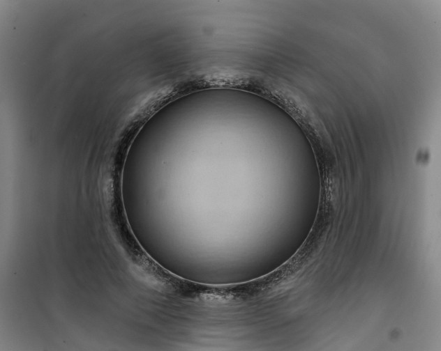 X0000101090690200807101549