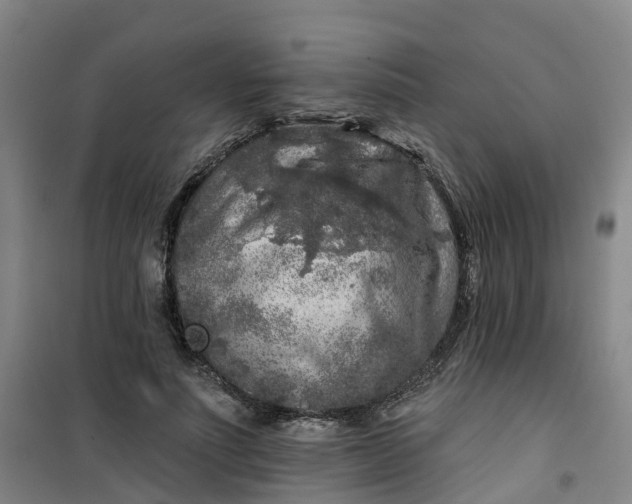 X0000101090691200807101549