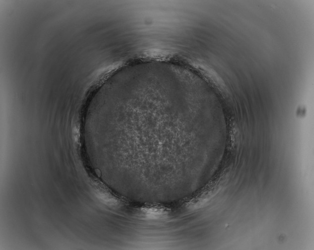 X0000101090693200807101549