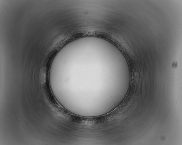 X0000101090694200807101549